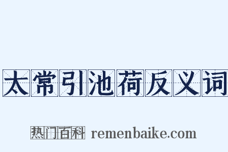 太常引池荷反义词是什么意思的图片